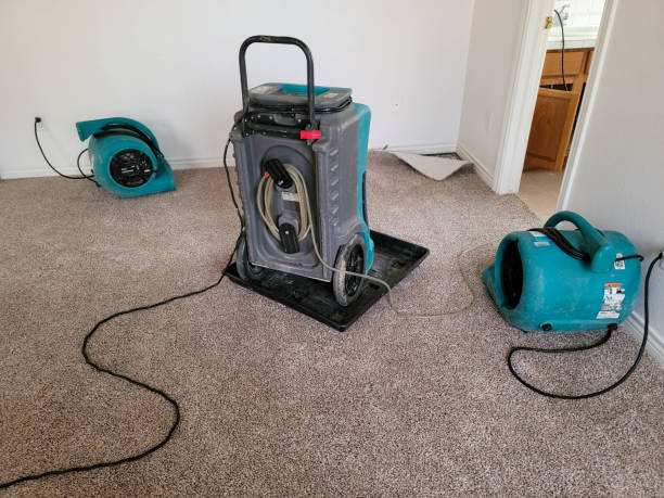 Best 24/7 water damage repair  in Kenilworth, NJ