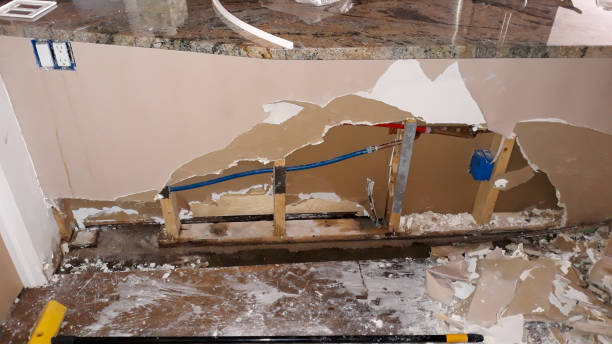 Best Flooded house restoration  in Kenilworth, NJ
