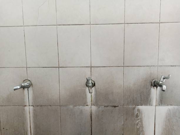 Best Water damage cleanup near me  in Kenilworth, NJ