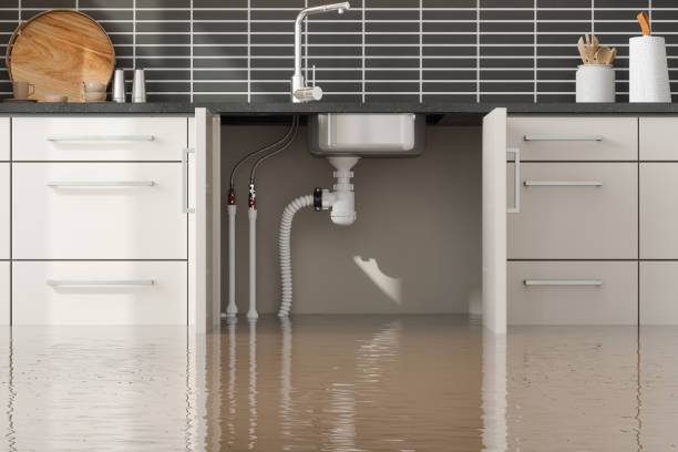 Best Flooded house restoration  in Kenilworth, NJ