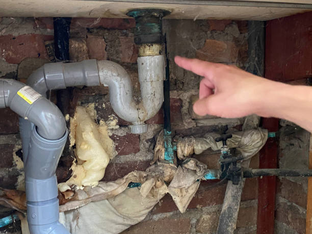 Best Commercial water damage restoration  in Kenilworth, NJ