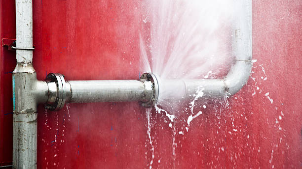 Best Sewage cleanup and water damage restoration  in Kenilworth, NJ